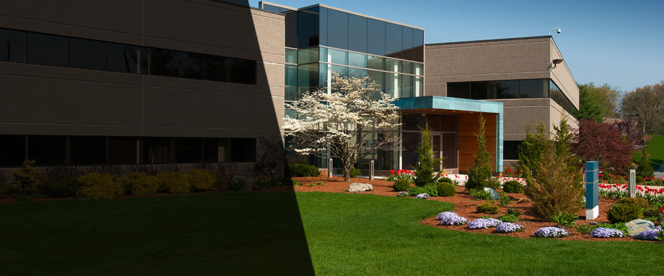 York Springs Landscapers